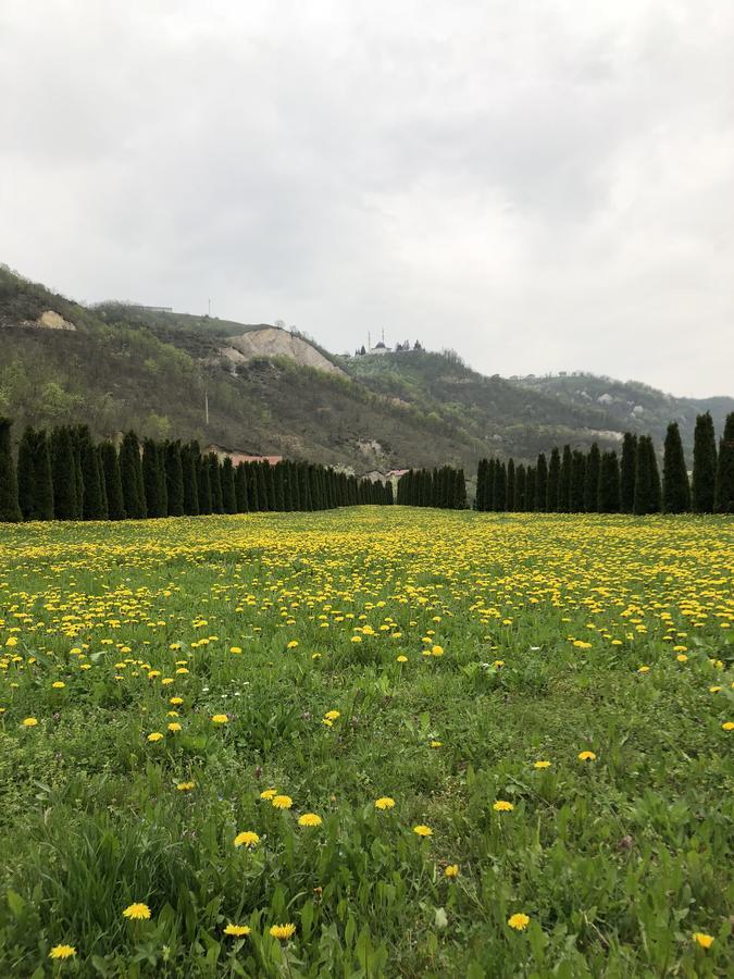Villa Nature Bihać Exterior foto